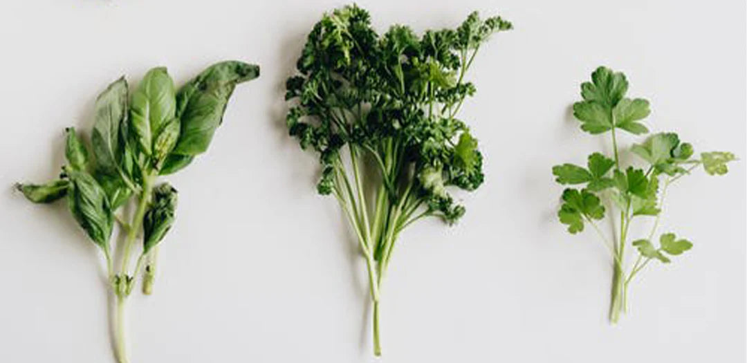 Suggestions for creating Healthy Habits with Digestive Bitters